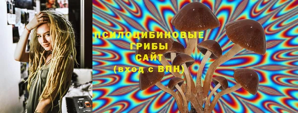 спайс Горняк