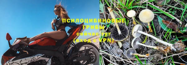 не бодяженный Нефтегорск