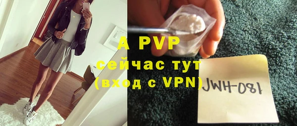 мдпв Новозыбков